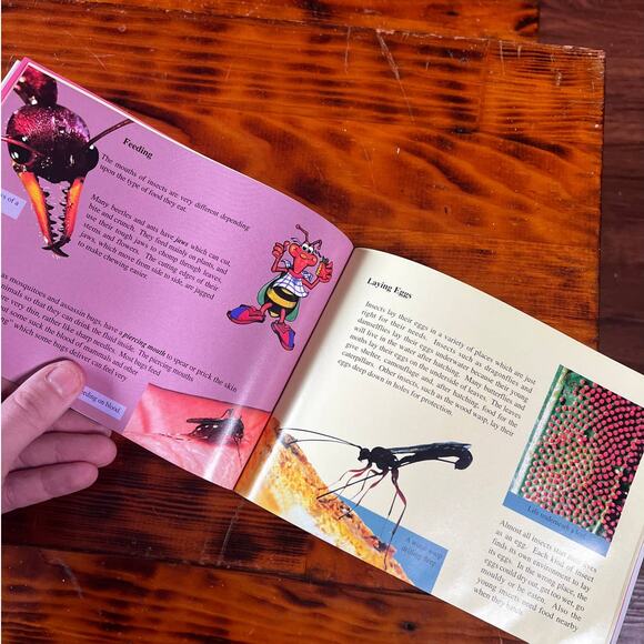 Vintage 1996 Discover Insects Paperback Book - Picture 5 of 8